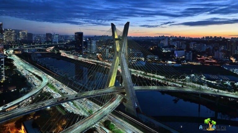 Brazil Trip Notes: the São Paulo Transcript